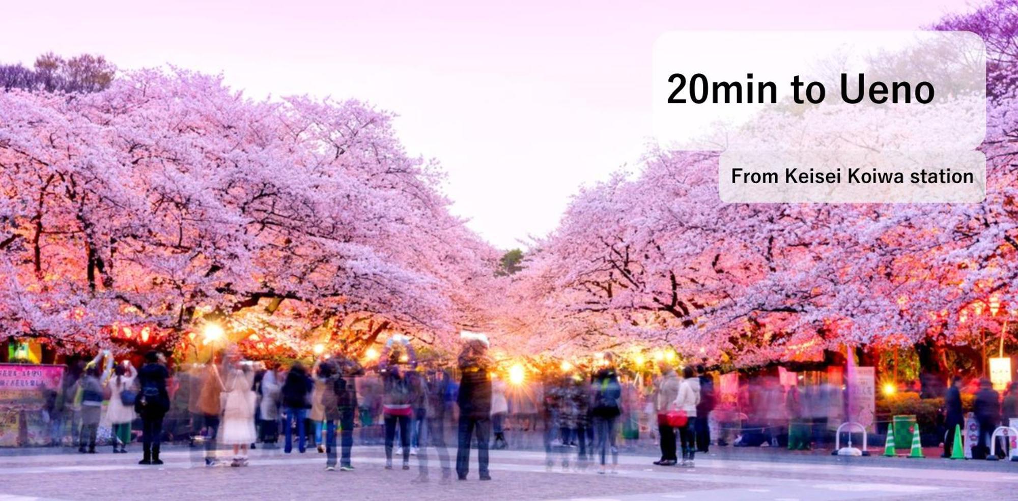 Asahistay -Koiwa, Free Parking O, Whole Family House, Japanese Garden Taste Tokyo Eksteriør bilde