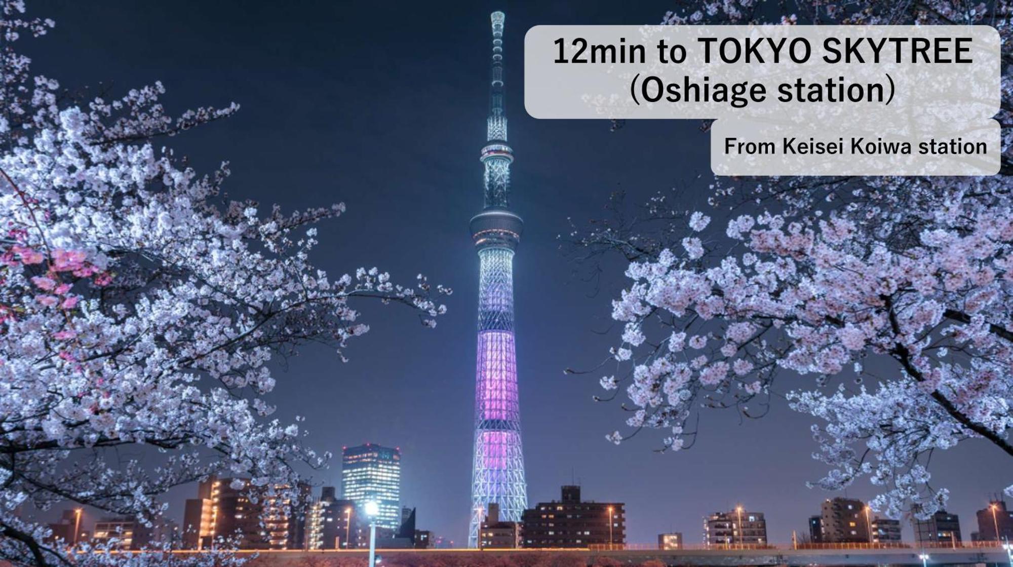 Asahistay -Koiwa, Free Parking O, Whole Family House, Japanese Garden Taste Tokyo Eksteriør bilde